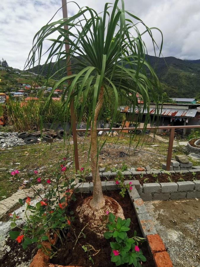 Dreamcatcher Homestay, Kundasang ラナウ エクステリア 写真